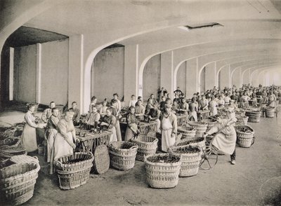 Risciacquo delle bottiglie, da 